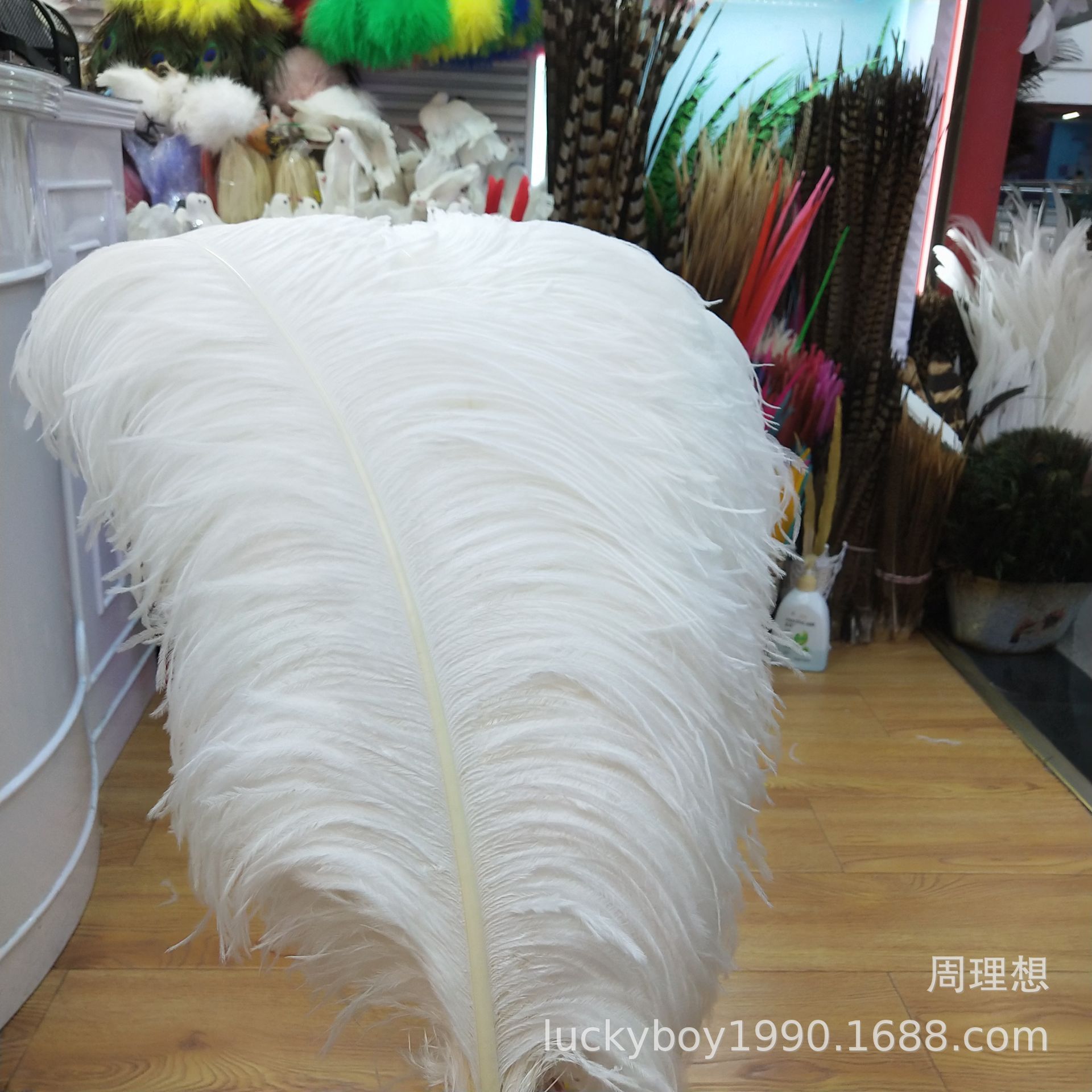 Factory in Stock Supply High Quality 45-50cm White Ostrich Feather Wedding Flower Arrangement Feather Clothing Decorative Accessories Factory in Stock Supply High Quality 45-50cm White Ostrich Feather Wedding Flower Arrangement Feather Clothing Decorative Accessories
