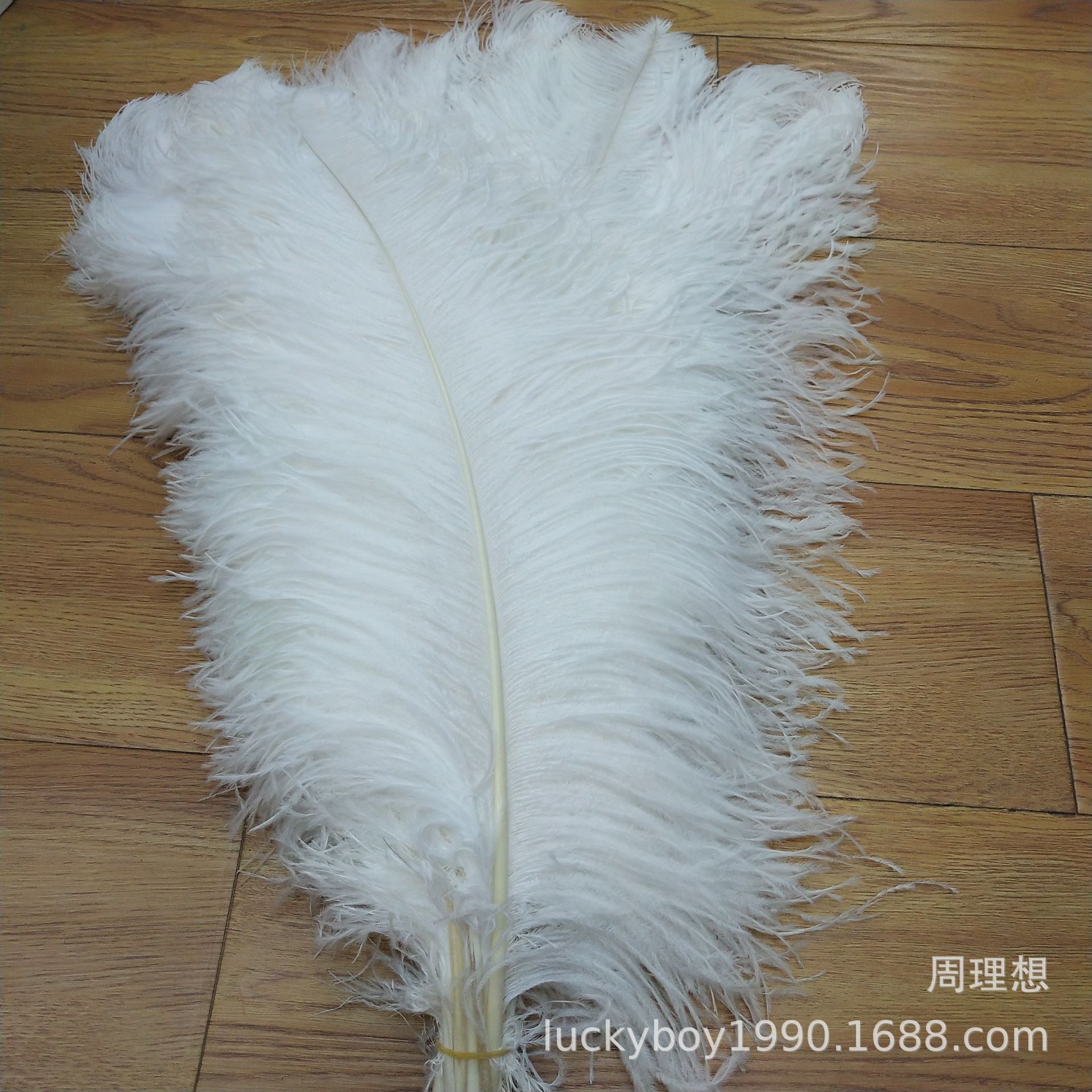 Factory in Stock Supply High Quality 45-50cm White Ostrich Feather Wedding Flower Arrangement Feather Clothing Decorative Accessories Factory in Stock Supply High Quality 45-50cm White Ostrich Feather Wedding Flower Arrangement Feather Clothing Decorative Accessories