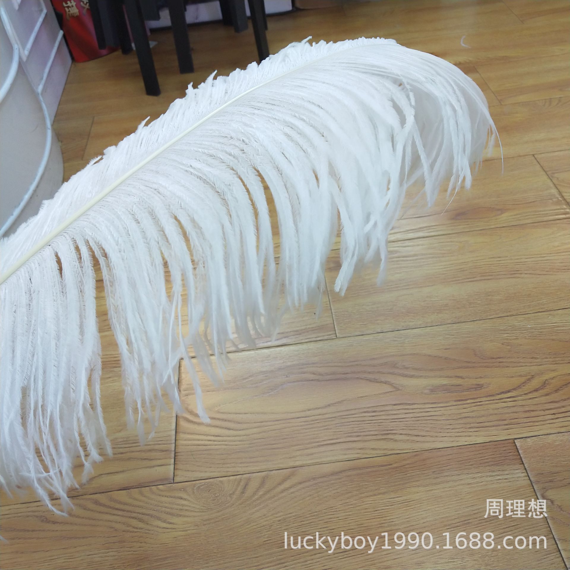 Factory in Stock Supply High Quality 45-50cm White Ostrich Feather Wedding Flower Arrangement Feather Clothing Decorative Accessories Factory in Stock Supply High Quality 45-50cm White Ostrich Feather Wedding Flower Arrangement Feather Clothing Decorative Accessories