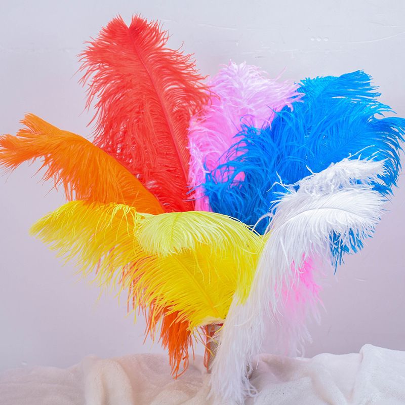 Factory in Stock Supply High Quality 45-50cm White Ostrich Feather Wedding Flower Arrangement Feather Clothing Decorative Accessories