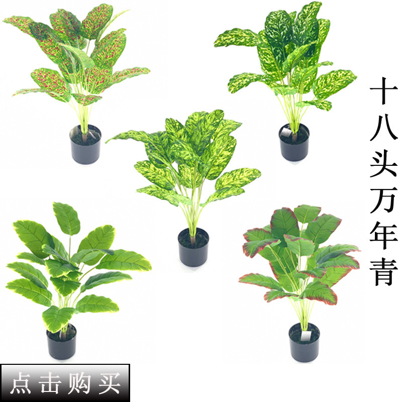 Imitate Leaves Simulation Colorful Su Wholesale Christmas Courtyard Decoration Engineering Wedding Flower Arrangement Green Plant Simulation Coleus Imitate Leaves Simulation Colorful Su Wholesale Christmas Courtyard Decoration Engineering Wedding Flower Arrangement Green Plant Simulation Coleus