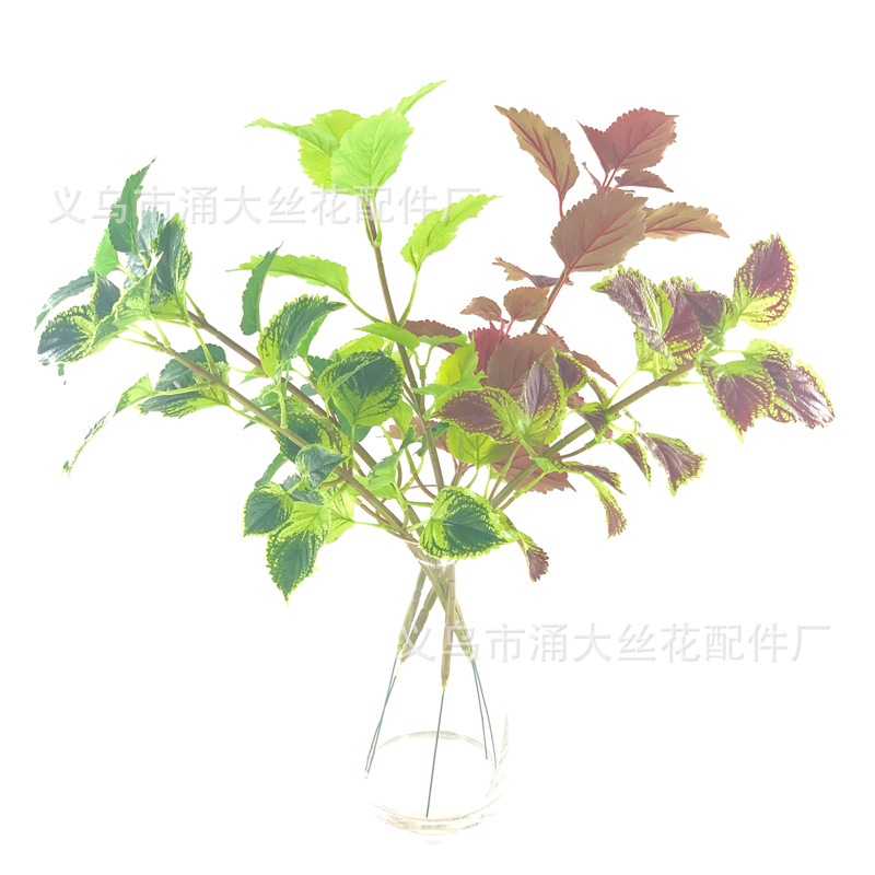 Imitate Leaves Simulation Colorful Su Wholesale Christmas Courtyard Decoration Engineering Wedding Flower Arrangement Green Plant Simulation Coleus Imitate Leaves Simulation Colorful Su Wholesale Christmas Courtyard Decoration Engineering Wedding Flower Arrangement Green Plant Simulation Coleus