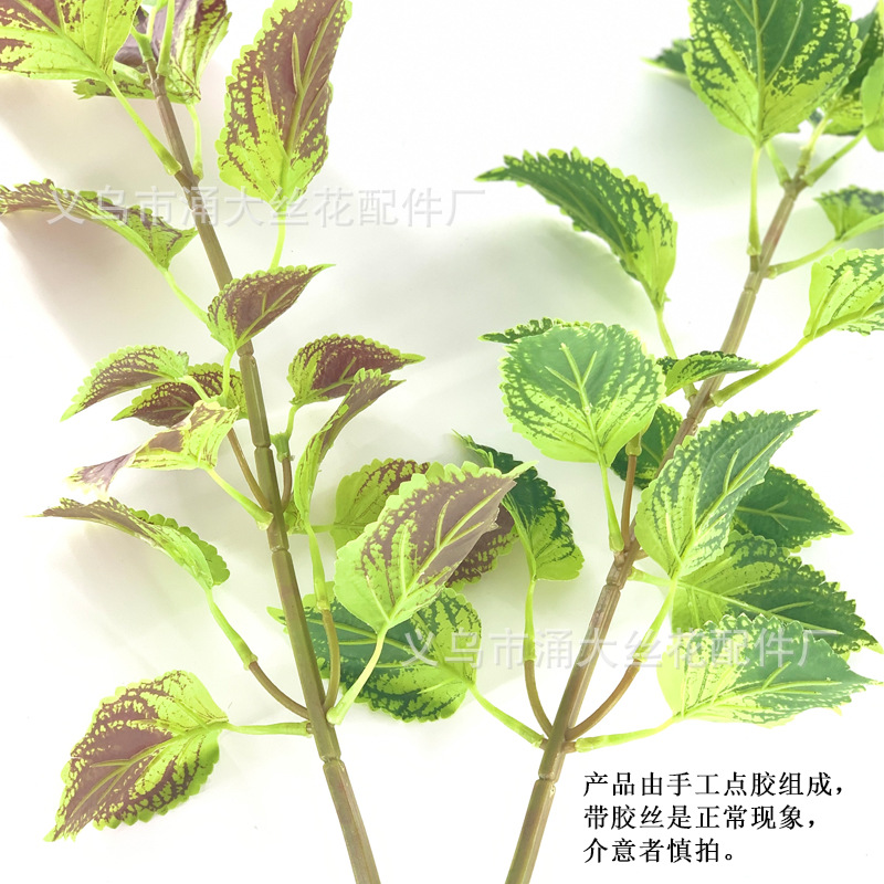 Imitate Leaves Simulation Colorful Su Wholesale Christmas Courtyard Decoration Engineering Wedding Flower Arrangement Green Plant Simulation Coleus Imitate Leaves Simulation Colorful Su Wholesale Christmas Courtyard Decoration Engineering Wedding Flower Arrangement Green Plant Simulation Coleus