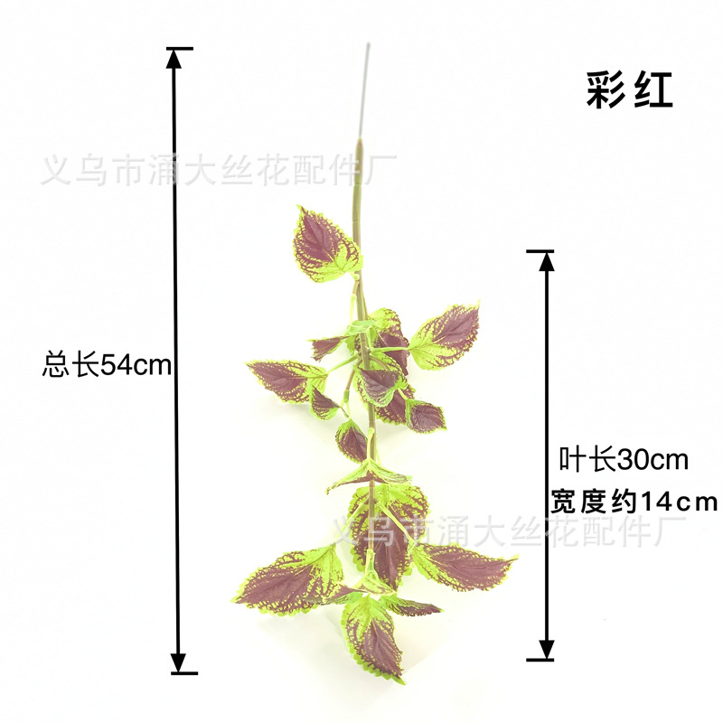Imitate Leaves Simulation Colorful Su Wholesale Christmas Courtyard Decoration Engineering Wedding Flower Arrangement Green Plant Simulation Coleus Imitate Leaves Simulation Colorful Su Wholesale Christmas Courtyard Decoration Engineering Wedding Flower Arrangement Green Plant Simulation Coleus
