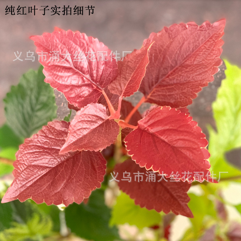 Imitate Leaves Simulation Colorful Su Wholesale Christmas Courtyard Decoration Engineering Wedding Flower Arrangement Green Plant Simulation Coleus Imitate Leaves Simulation Colorful Su Wholesale Christmas Courtyard Decoration Engineering Wedding Flower Arrangement Green Plant Simulation Coleus