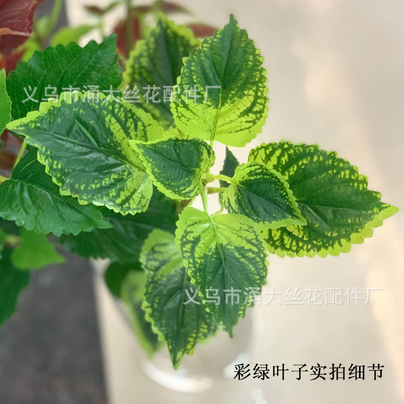Imitate Leaves Simulation Colorful Su Wholesale Christmas Courtyard Decoration Engineering Wedding Flower Arrangement Green Plant Simulation Coleus Imitate Leaves Simulation Colorful Su Wholesale Christmas Courtyard Decoration Engineering Wedding Flower Arrangement Green Plant Simulation Coleus