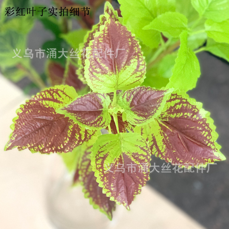 Imitate Leaves Simulation Colorful Su Wholesale Christmas Courtyard Decoration Engineering Wedding Flower Arrangement Green Plant Simulation Coleus Imitate Leaves Simulation Colorful Su Wholesale Christmas Courtyard Decoration Engineering Wedding Flower Arrangement Green Plant Simulation Coleus