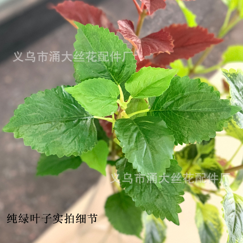 Imitate Leaves Simulation Colorful Su Wholesale Christmas Courtyard Decoration Engineering Wedding Flower Arrangement Green Plant Simulation Coleus Imitate Leaves Simulation Colorful Su Wholesale Christmas Courtyard Decoration Engineering Wedding Flower Arrangement Green Plant Simulation Coleus