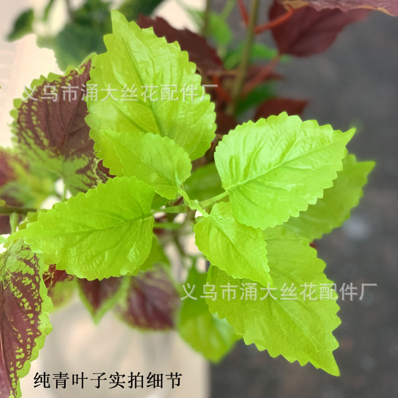 Imitate Leaves Simulation Colorful Su Wholesale Christmas Courtyard Decoration Engineering Wedding Flower Arrangement Green Plant Simulation Coleus Imitate Leaves Simulation Colorful Su Wholesale Christmas Courtyard Decoration Engineering Wedding Flower Arrangement Green Plant Simulation Coleus