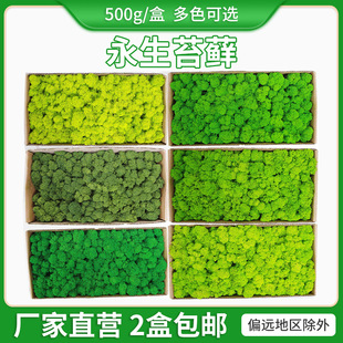Simulation Japanese Bell Leaf Simulation Plant Japanese Bell Leaf Multi-Leaf Decoration Wedding Flower Arrangement Materials Green Plant Simulation Japanese Bell Leaf Simulation Plant Japanese Bell Leaf Multi-Leaf Decoration Wedding Flower Arrangement Materials Green Plant