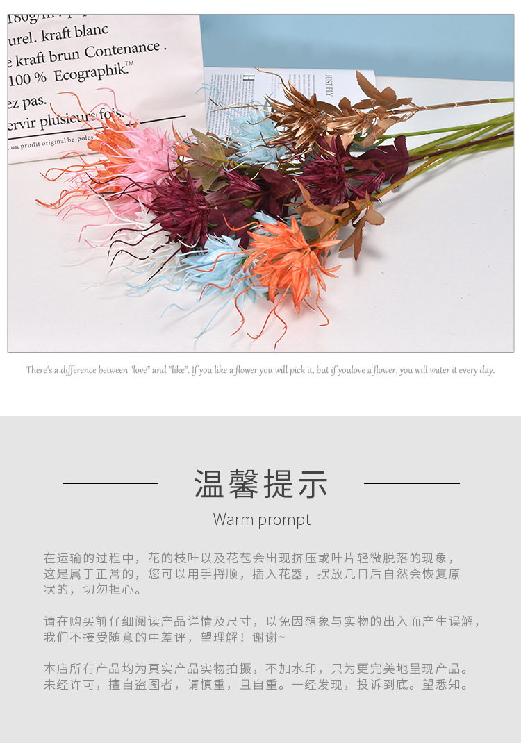 Simulation Epiphyllum Single Flame Epiphyllum Plastic Willow Grass Wedding Flower Arrangement Modeling Road Lead Acanthosphere Factory Wholesale Simulation Epiphyllum Single Flame Epiphyllum Plastic Willow Grass Wedding Flower Arrangement Modeling Road Lead Acanthosphere Factory Wholesale