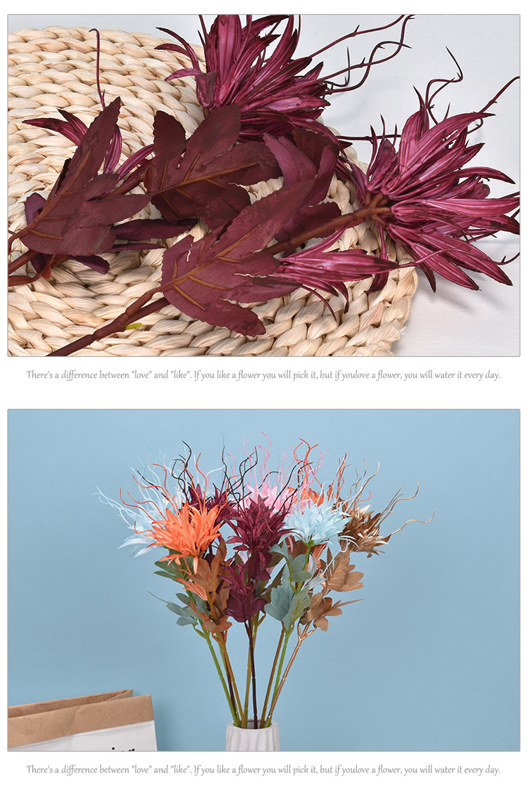 Simulation Epiphyllum Single Flame Epiphyllum Plastic Willow Grass Wedding Flower Arrangement Modeling Road Lead Acanthosphere Factory Wholesale Simulation Epiphyllum Single Flame Epiphyllum Plastic Willow Grass Wedding Flower Arrangement Modeling Road Lead Acanthosphere Factory Wholesale