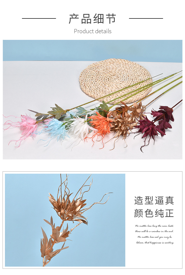 Simulation Epiphyllum Single Flame Epiphyllum Plastic Willow Grass Wedding Flower Arrangement Modeling Road Lead Acanthosphere Factory Wholesale Simulation Epiphyllum Single Flame Epiphyllum Plastic Willow Grass Wedding Flower Arrangement Modeling Road Lead Acanthosphere Factory Wholesale