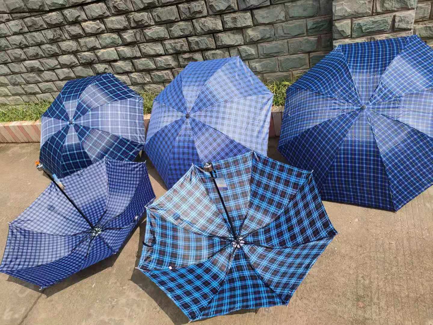 55cm8 Bone Checkered Umbrella Umbrella Non-Woven Cloth Cover Hanging Card Mixed Color Brand New Low Price Wholesale Foreign Trade Supermarket Special Supply 55cm8 Bone Checkered Umbrella Umbrella Non-Woven Cloth Cover Hanging Card Mixed Color Brand New Low Price Wholesale Foreign Trade Supermarket Special Supply