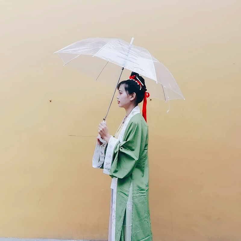 Ins Transparent Umbrella Long Handle Photo Essential Internet Celebrity Student Girls Thick 8 Bones Fresh Wholesale