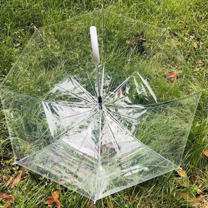 Ins Transparent Umbrella Long Handle Photo Essential Internet Celebrity Student Girls Thick 8 Bones Fresh Wholesale