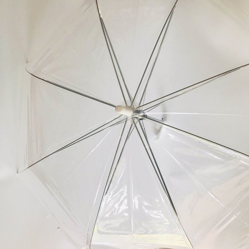 Ins Transparent Umbrella Long Handle Photo Essential Internet Celebrity Student Girls Thick 8 Bones Fresh Wholesale Ins Transparent Umbrella Long Handle Photo Essential Internet Celebrity Student Girls Thick 8 Bones Fresh Wholesale