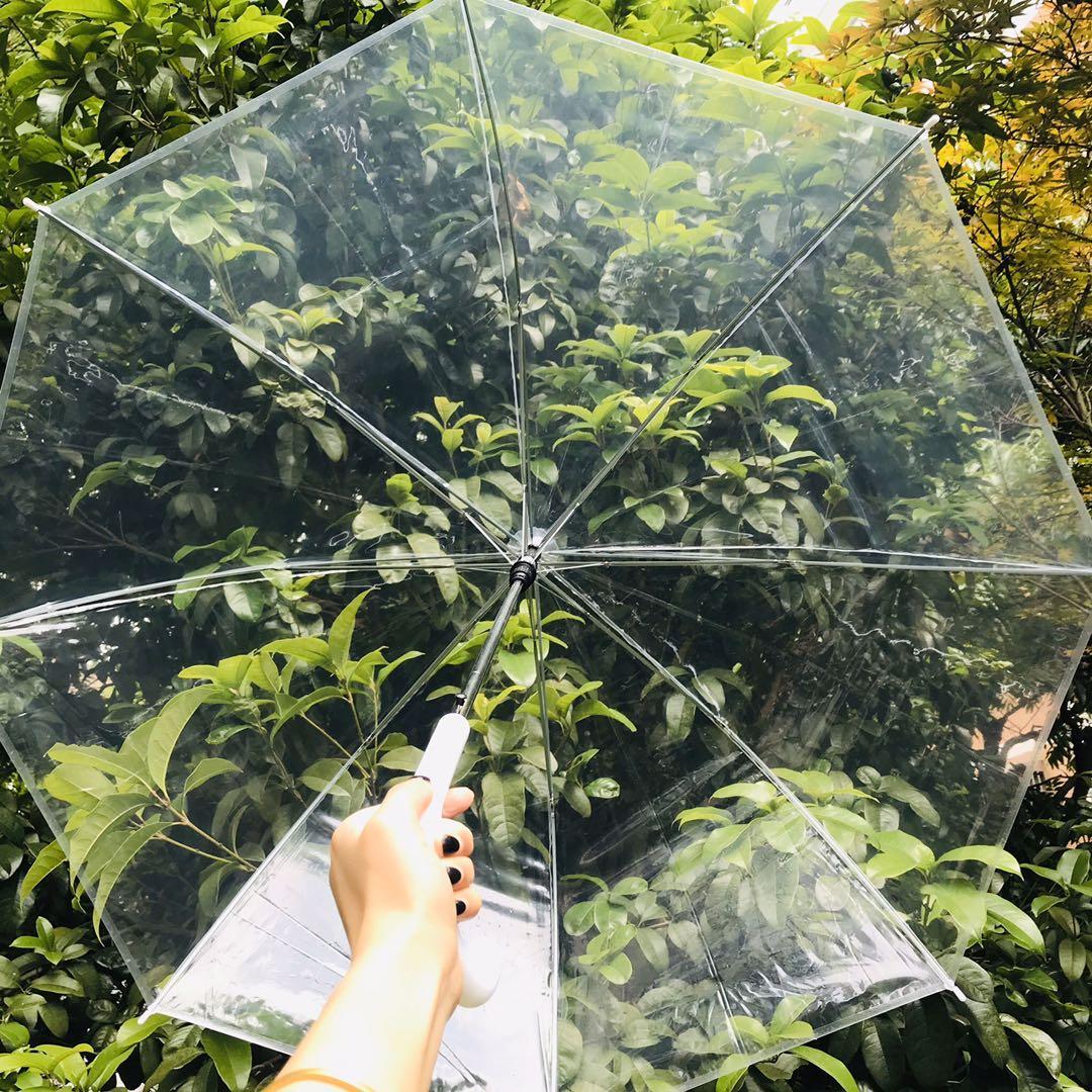Ins Transparent Umbrella Long Handle Photo Essential Internet Celebrity Student Girls Thick 8 Bones Fresh Wholesale Ins Transparent Umbrella Long Handle Photo Essential Internet Celebrity Student Girls Thick 8 Bones Fresh Wholesale