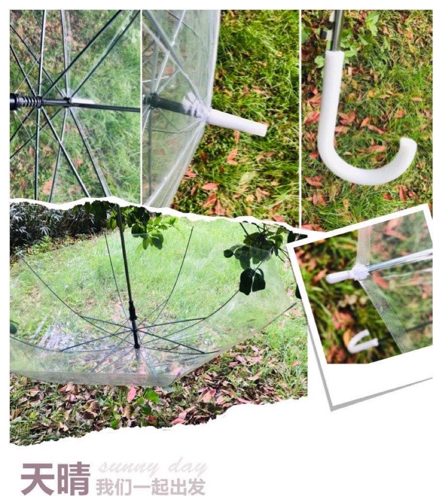 Ins Transparent Umbrella Long Handle Photo Essential Internet Celebrity Student Girls Thick 8 Bones Fresh Wholesale Ins Transparent Umbrella Long Handle Photo Essential Internet Celebrity Student Girls Thick 8 Bones Fresh Wholesale