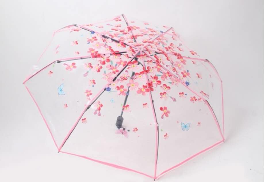 Japanese-Style Long Handle Transparent Frosted Umbrella Photo Internet Hot Fresh Student Children&#039;s Transparent Umbrella Logo Advertising Customization