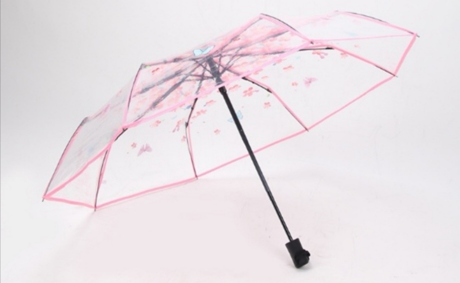 Japanese-Style Long Handle Transparent Frosted Umbrella Photo Internet Hot Fresh Student Children&#039;s Transparent Umbrella Logo Advertising Customization