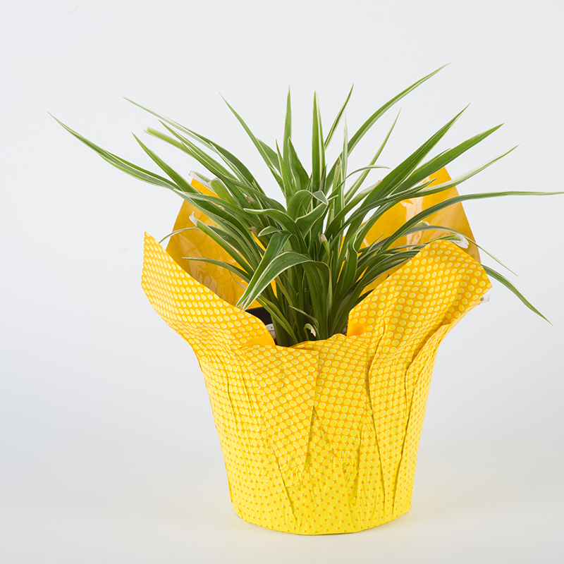 plant pot cover christmas flower pot covers plant pot cover christmas flower pot covers