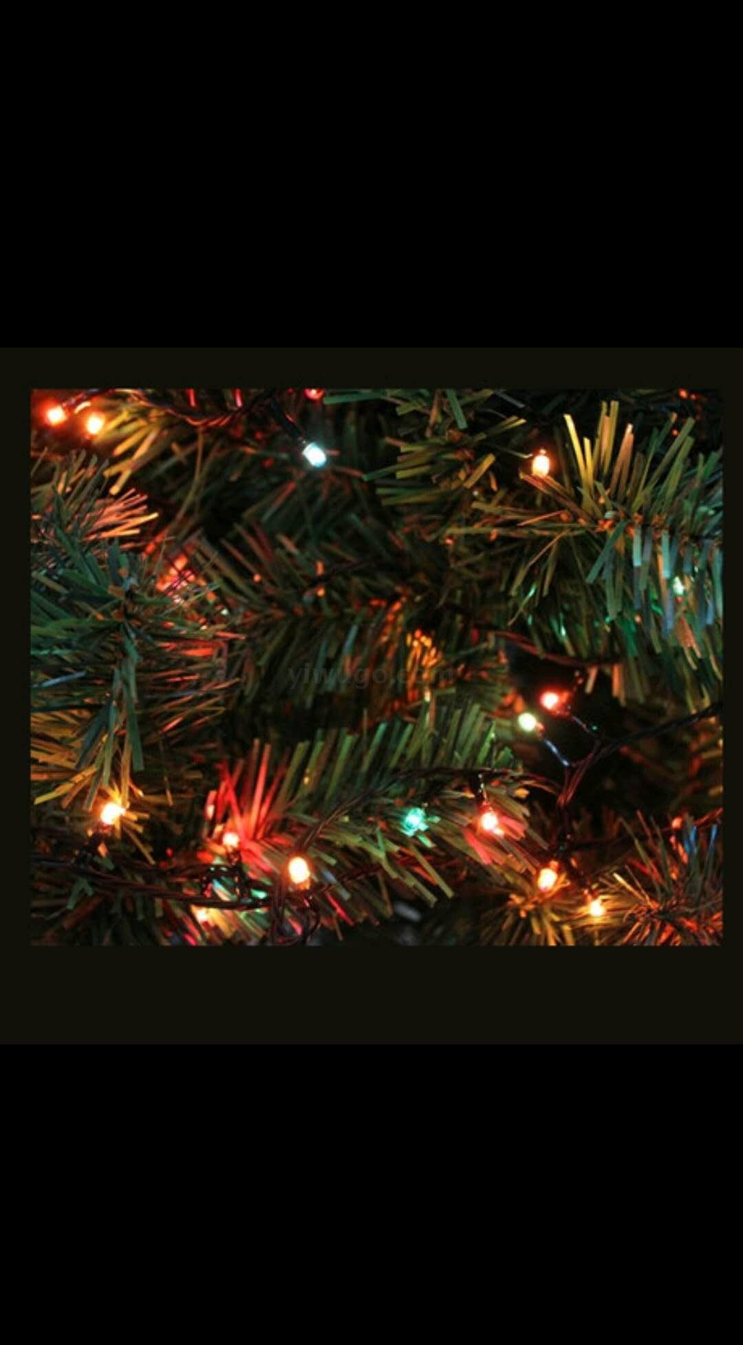 40 heads of special Christmas lights string decoration small colored lights wedding Christmas tree decoration lights