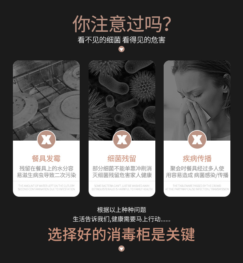 Commercial Disinfection Cabinet Vertical Ozone Infrared Stainless Steel High Temperature Hotel Kitchen Tableware Double Door Sterilized Cupboard