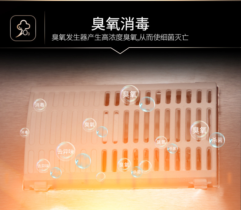 Commercial Disinfection Cabinet Vertical Ozone Infrared Stainless Steel High Temperature Hotel Kitchen Tableware Double Door Sterilized Cupboard