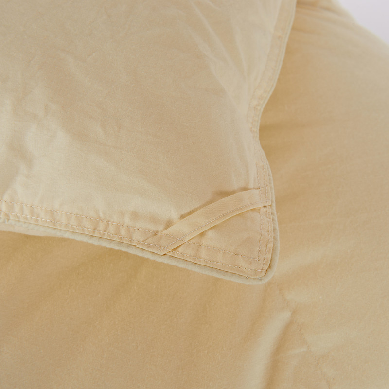 Factory Direct Sales Hot Sale Cotton down Quilt Spring and Autumn Winter Duvet Warm Thickened Duvet Insert Gift Goose down Quilt One Piece Dropshipping
