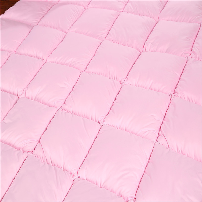 Factory Direct Sales Hot Sale Cotton down Quilt Spring and Autumn Winter Duvet Warm Thickened Duvet Insert Gift Goose down Quilt One Piece Dropshipping