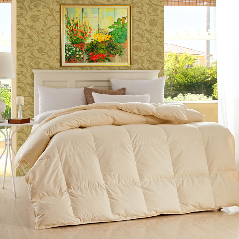 Factory Direct Sales Hot Sale Cotton down Quilt Spring and Autumn Winter Duvet Warm Thickened Duvet Insert Gift Goose down Quilt One Piece Dropshipping