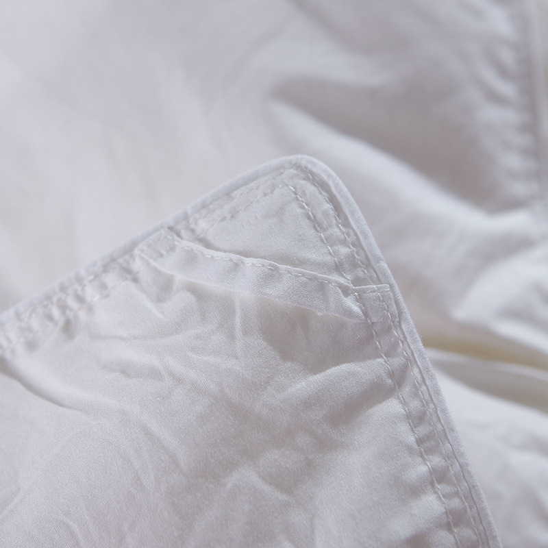 Factory Direct Sales Hot Sale Cotton down Quilt Spring and Autumn Winter Duvet Warm Thickened Duvet Insert Gift Goose down Quilt One Piece Dropshipping