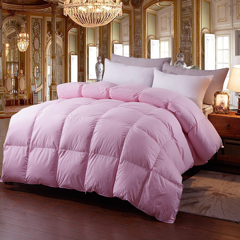 Factory Direct Sales Hot Sale Cotton down Quilt Spring and Autumn Winter Duvet Warm Thickened Duvet Insert Gift Goose down Quilt One Piece Dropshipping