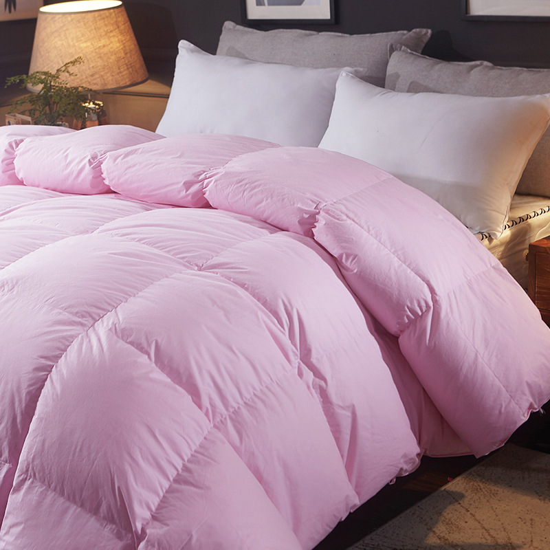 Factory Direct Sales Hot Sale Cotton down Quilt Spring and Autumn Winter Duvet Warm Thickened Duvet Insert Gift Goose down Quilt One Piece Dropshipping
