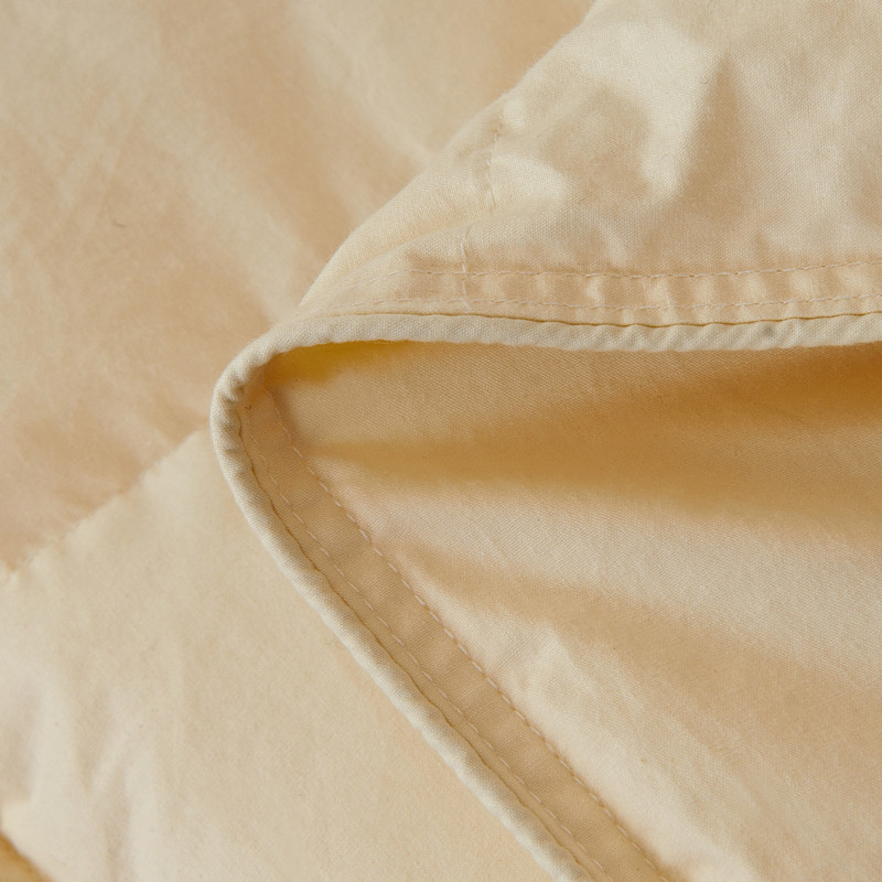 Factory Direct Sales Hot Sale Cotton down Quilt Spring and Autumn Winter Duvet Warm Thickened Duvet Insert Gift Goose down Quilt One Piece Dropshipping