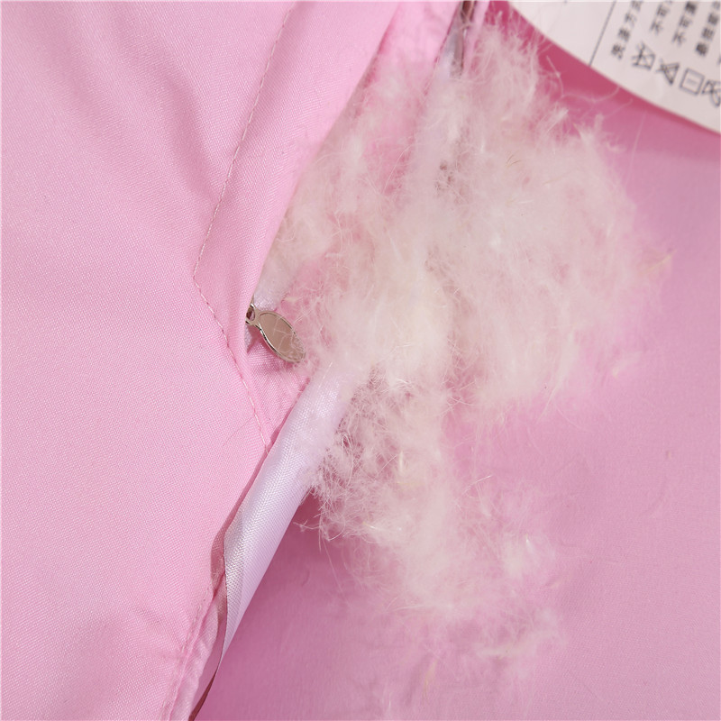 Factory Direct Sales Hot Sale Cotton down Quilt Spring and Autumn Winter Duvet Warm Thickened Duvet Insert Gift Goose down Quilt One Piece Dropshipping