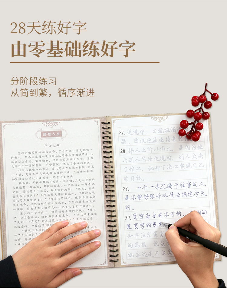 Nanguoshuxiang Calligraphy Practice Board Magic Adult Pen Calligraphy Practice Board Running Book Xing Kai Student Hard-Pen Copybook 10 Sets