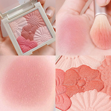 Original Painter Highlight Powder Glitter Brightening Natural Three-Dimensional Nose Shadow Side Shadow Relief Lion Ginger Highlight Contour Compact