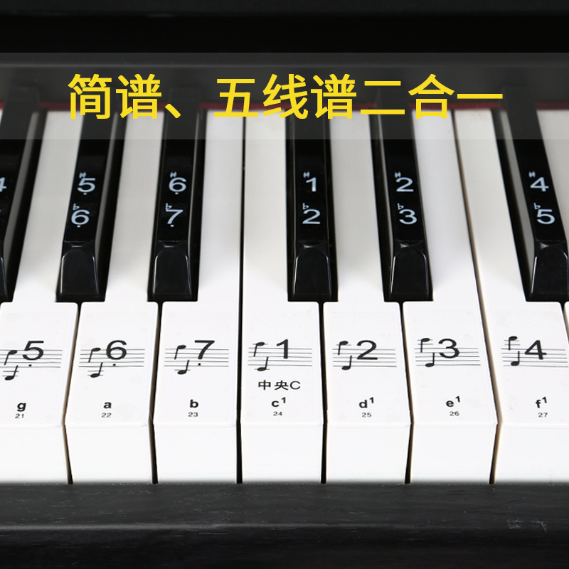 Accordion Keyboard Picture Colorful Piano Keyboard Sticker 88 Keys 61 Keys Transparent Piano Sticker Electronic Keyboard Button