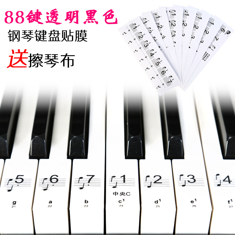 Accordion Keyboard Picture Colorful Piano Keyboard Sticker 88 Keys 61 Keys Transparent Piano Sticker Electronic Keyboard Button