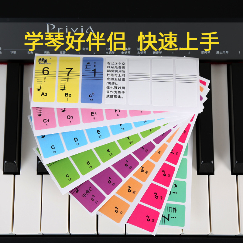 Accordion Keyboard Picture Colorful Piano Keyboard Sticker 88 Keys 61 Keys Transparent Piano Sticker Electronic Keyboard Button