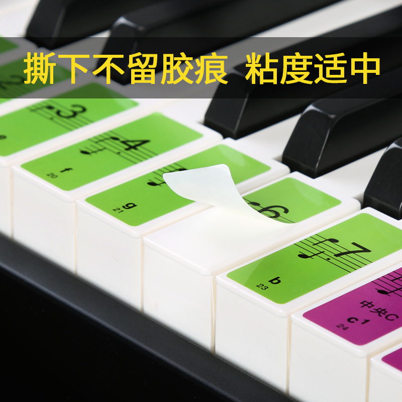 Accordion Keyboard Picture Colorful Piano Keyboard Sticker 88 Keys 61 Keys Transparent Piano Sticker Electronic Keyboard Button