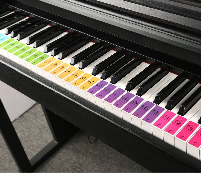 Accordion Keyboard Picture Colorful Piano Keyboard Sticker 88 Keys 61 Keys Transparent Piano Sticker Electronic Keyboard Button