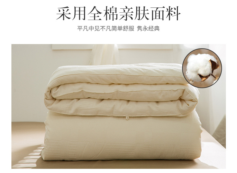 Baby Class A Cotton Soybean Fiber Quilt Four Seasons Air-Conditioning Quilt Thin Double Winter Quilt Quilt for Spring and Autumn Summer Blanket