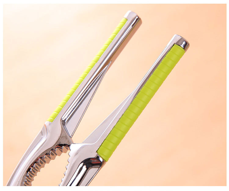 Walnut Cracker Walnut Holder Multi-Functional Nut Clip Peeling Siberian Hazelnut Pine Nuts Walnut Pliers Wholesale Green Handle