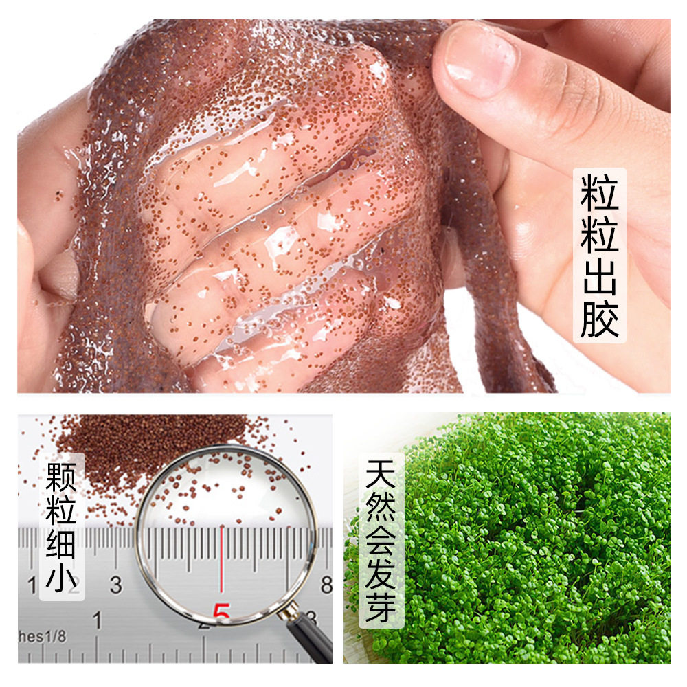 Popular Thailand 5A Imported Natural Small Particles Seaweed Mask Particles Repair Moisturizing, Hydrating and Nourishing Skin Rejuvenation Brightening
