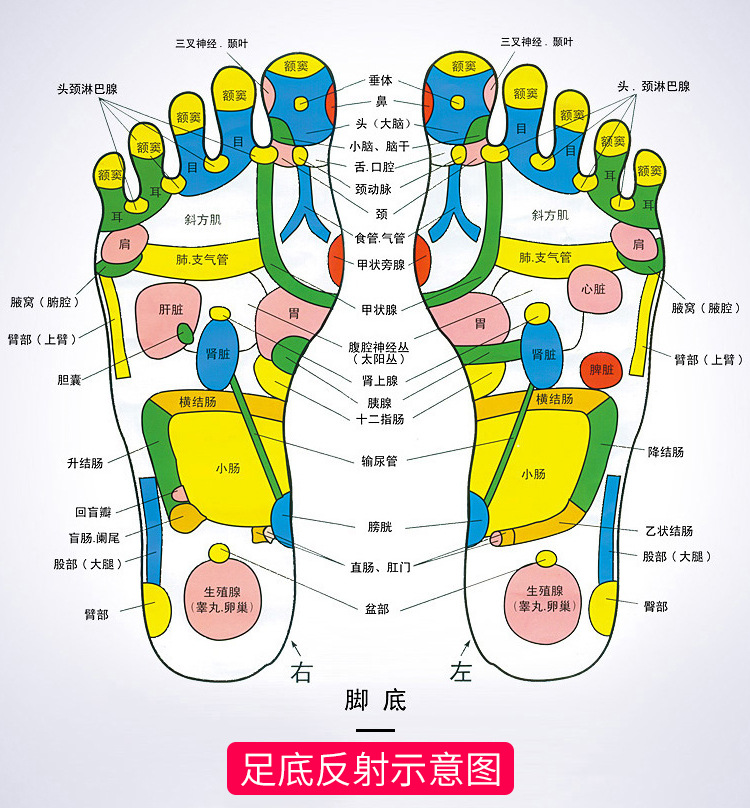 Foot Bath Tub Health Care Foot Bath Barrel Massage Foot Tub Foot Bath Tub Feet-Washing Basin Foot Bath Tub Mechanical Feet Bathing Tub Gift Customization