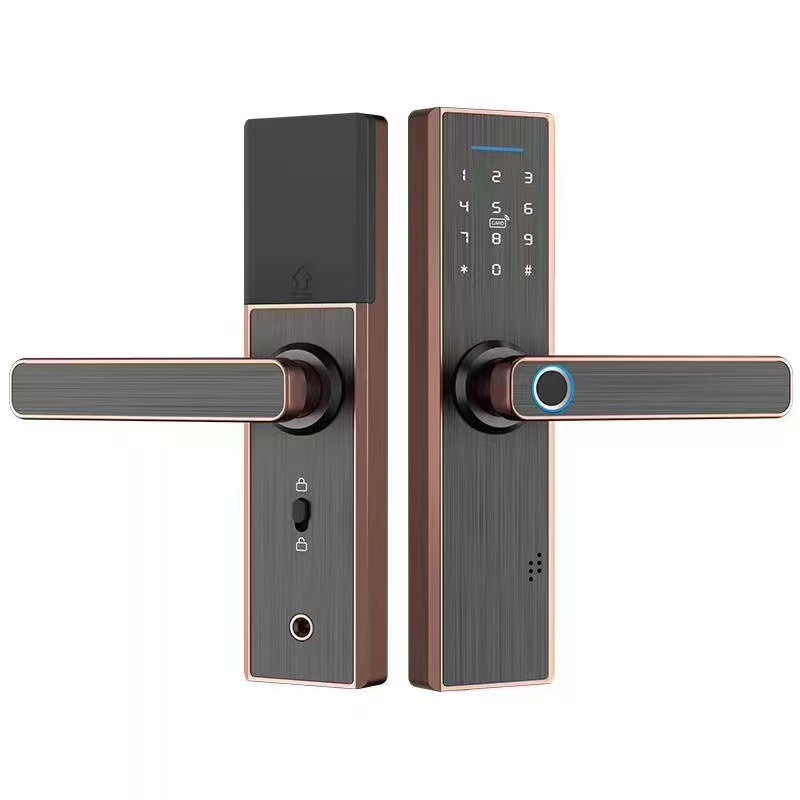 Inner Door Wooden Door Office Door Bedroom Door Fingerprint Lock Chinese And English Graffiti WiFi Bluetooth Pass Smart Lock