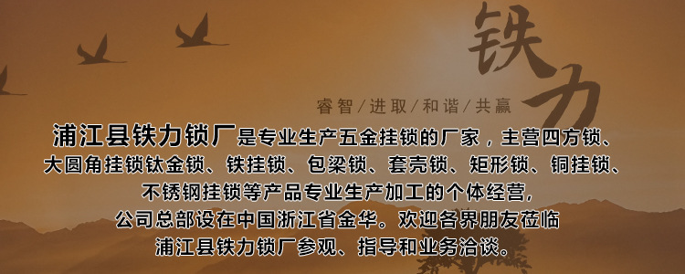 Leaf copper giant horizontal padlock bay warehouse big doors and Windows anti-pry shear anti-theft anti-rust beam lock big lock Leaf copper giant horizontal padlock bay warehouse big doors and Windows anti-pry shear anti-theft anti-rust beam lock big lock